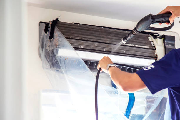 Air Duct Mold Removal in Mifflinburg, PA